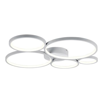 Trio - Dimmbare LED-Deckenleuchte RONDO LED/49W/230V