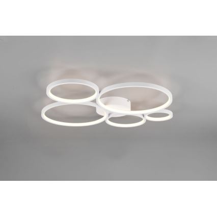 Trio - Dimmbare LED-Deckenleuchte RONDO LED/49W/230V