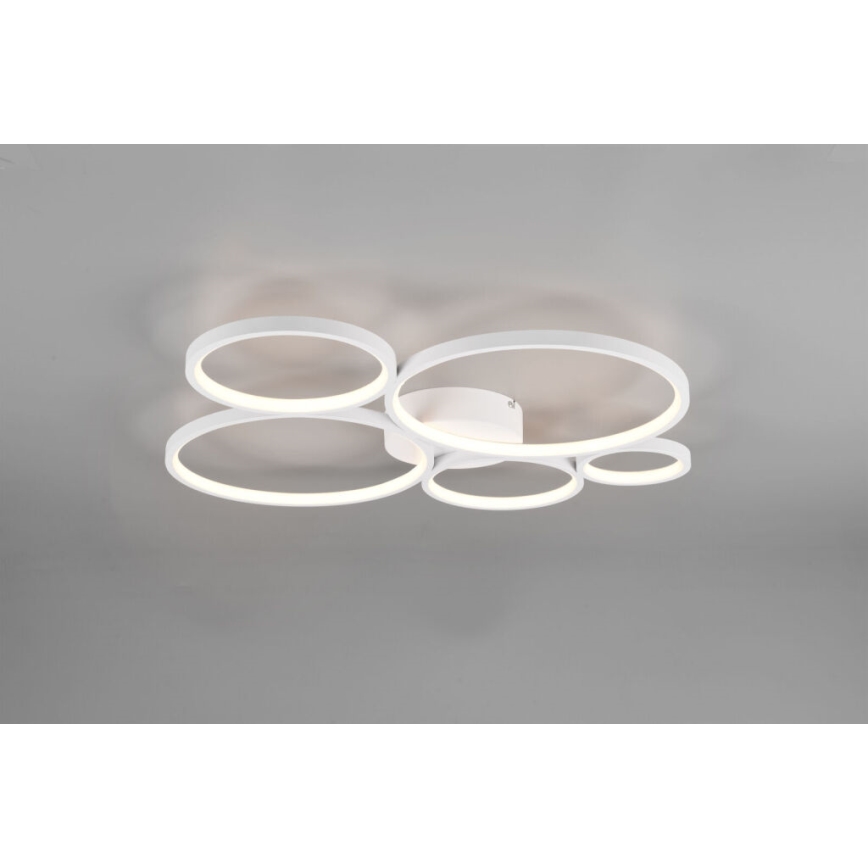 Trio - Dimmbare LED-Deckenleuchte RONDO LED/49W/230V