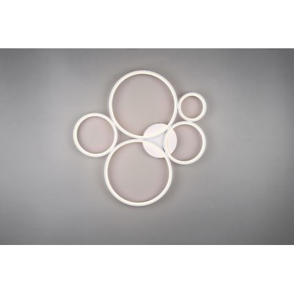 Trio - Dimmbare LED-Deckenleuchte RONDO LED/49W/230V