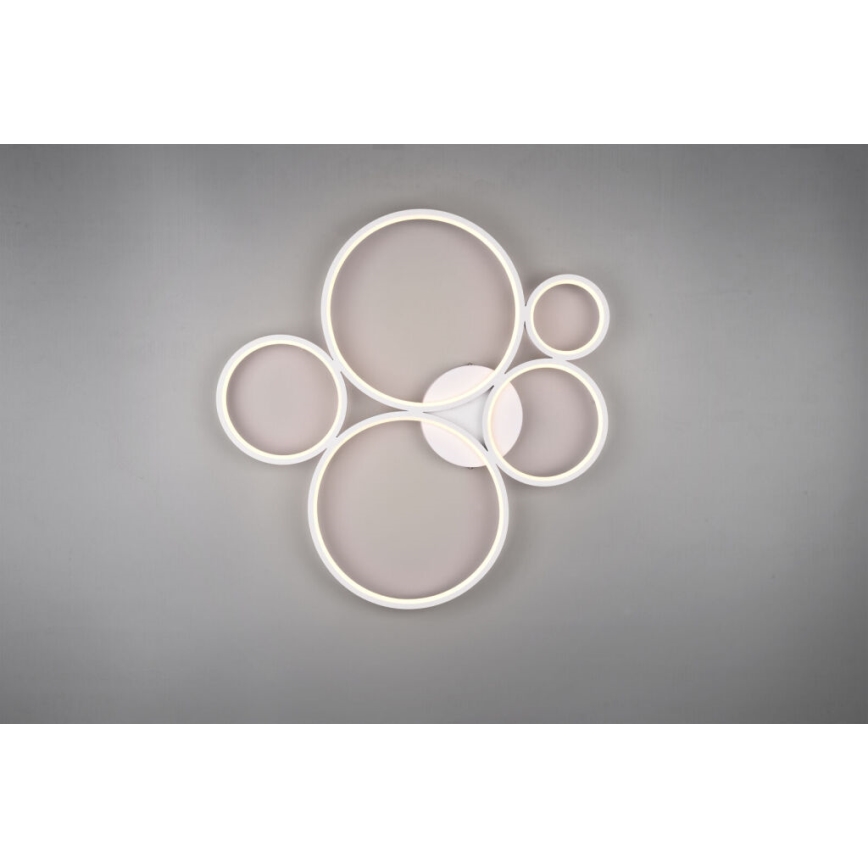Trio - Dimmbare LED-Deckenleuchte RONDO LED/49W/230V