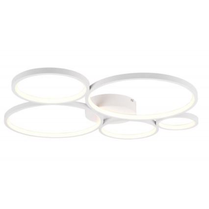 Trio - Dimmbare LED-Deckenleuchte RONDO LED/49W/230V