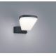 TRIO - LED Auβen-Wandbeleuchtung VOLTURNO LED/5,5W/230V IP54
