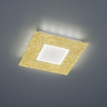 Trio - LED Deckenleuchte CHIROS LED/12W/230V + LED/3,5W