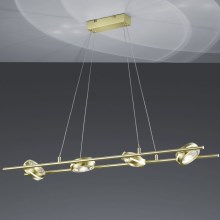 Trio - LED-Kronleuchter an Schnur LEICESTER 8xLED/4W/230V