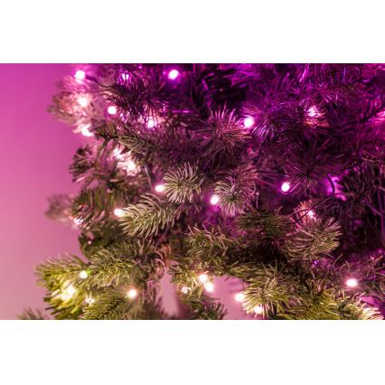 Twinkly - LED RGBW Dimmbare Weihnachtsdekoration GARLAND 50xLED 2,7 m Wi-Fi