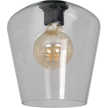 Universal-Ersatzglas SANTIAGO E27 d 18 cm klar