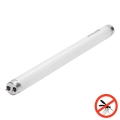 UV-Leuchtstoffröhre für Insektenfalle G13/10W/230V 36,5 cm - BRILAGI