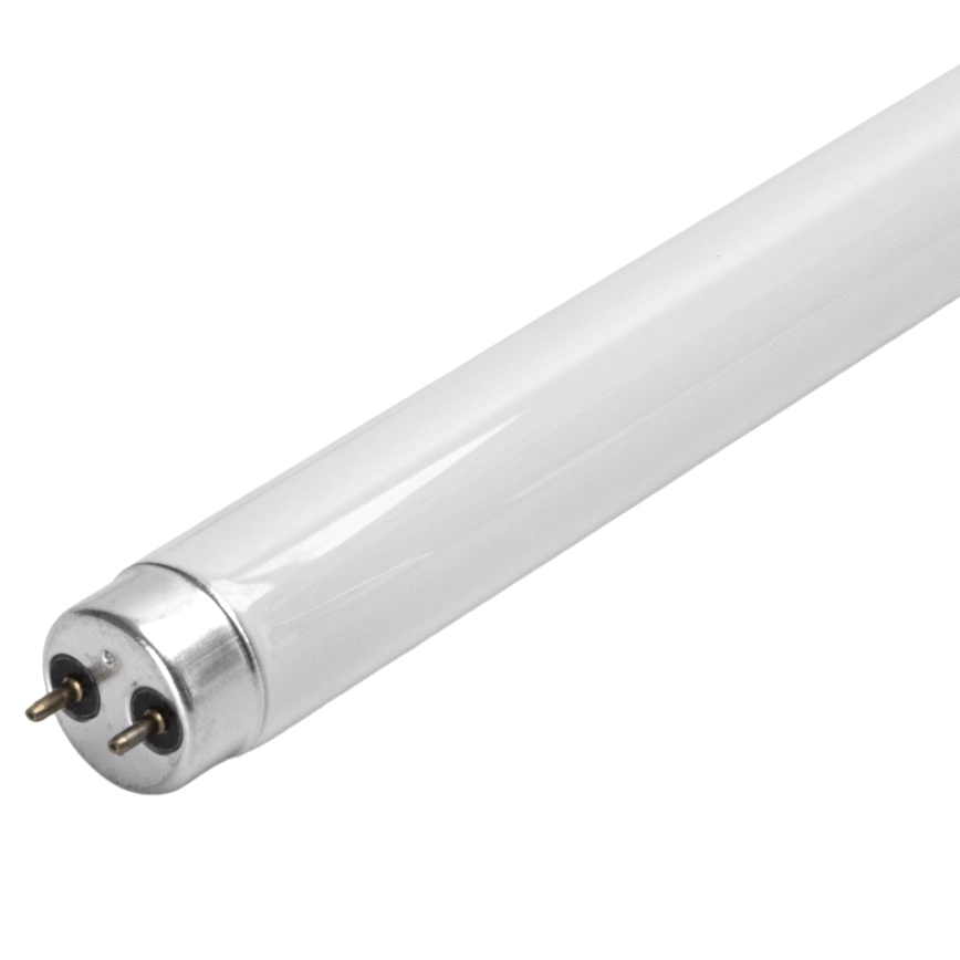 UV-Leuchtstoffröhre für Insektenfalle G13/10W/230V 36,5 cm - BRILAGI