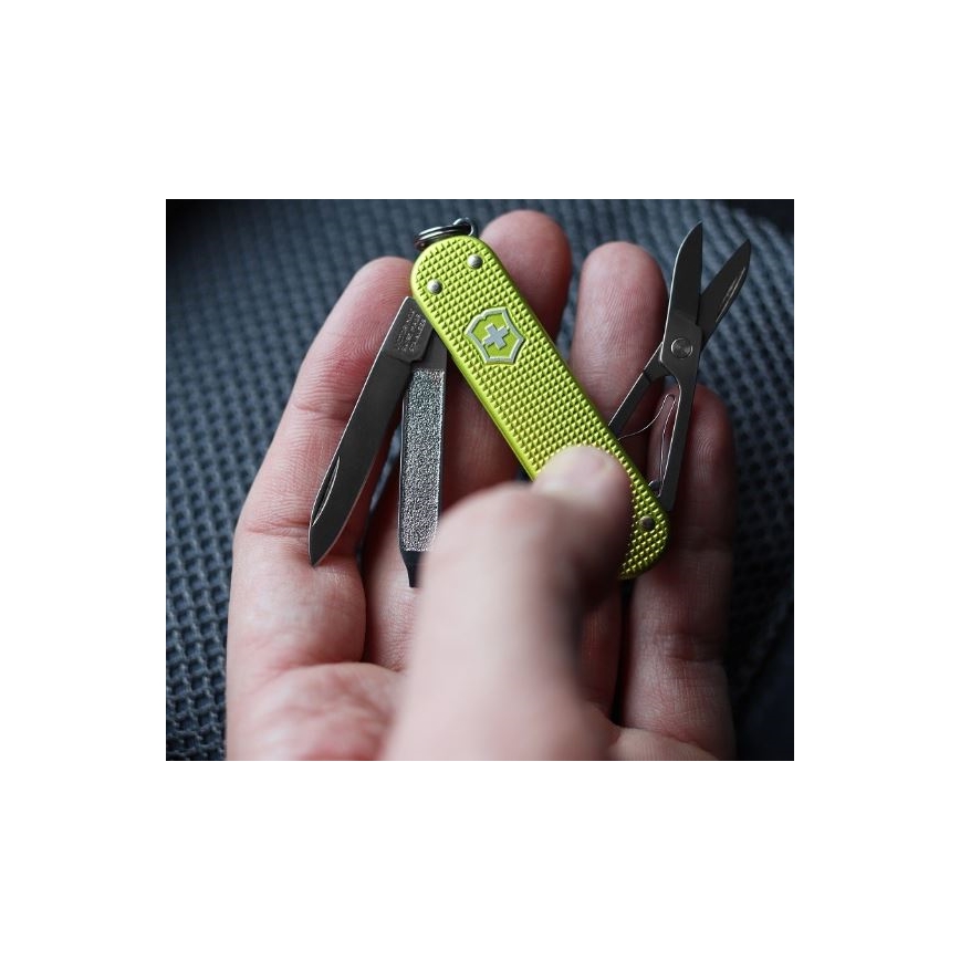 Victorinox – Multifunktionales Taschenmesser Alox Limited edition 5,8 cm/5 Funktionen grün