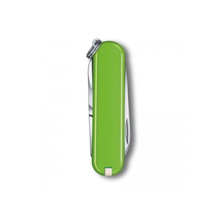 Victorinox - Multifunktionales Taschenmesser CLASSIC SD 5,8 cm/7 Funktionen grün