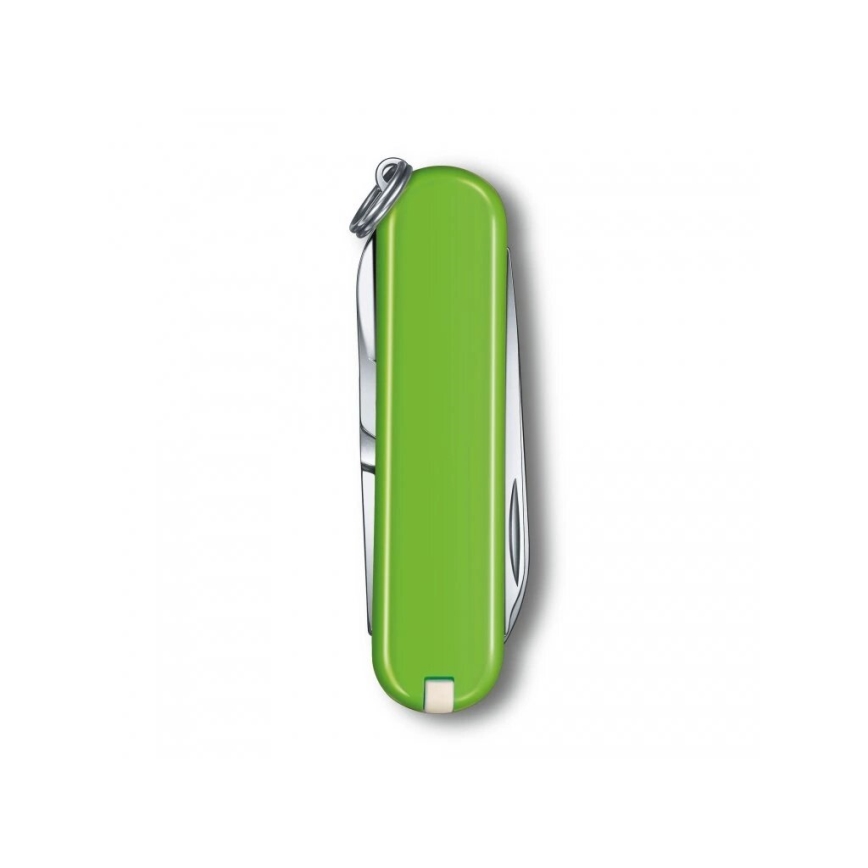 Victorinox - Multifunktionales Taschenmesser CLASSIC SD 5,8 cm/7 Funktionen grün