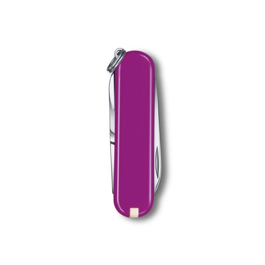 Victorinox - Multifunktionales Taschenmesser CLASSIC SD 5,8 cm/7 Funktionen violett