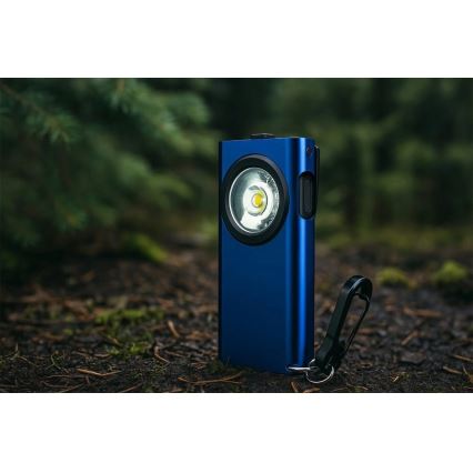 Viking - Dimmbar, wiederaufladbare LED-Taschenlampe LED/5V IPX3 500 lm 500 mAh