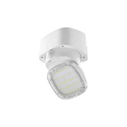 Viking - LED-Solar-Wandleuchte mit Sensor LED/1W/3,7V IP44 3000/4000K 4000 mAh