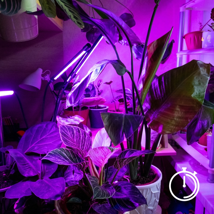 LED dimmbare flexible Tischlampe mit Clip zur Pflanzenzucht VITARO 3xLED/10W/230V schwarz