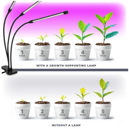 LED dimmbare flexible Tischlampe mit Clip zur Pflanzenzucht VITARO 3xLED/10W/230V schwarz