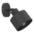 Wand-Spotleuchte PARKLA 1xE27/15W/230V schwarz