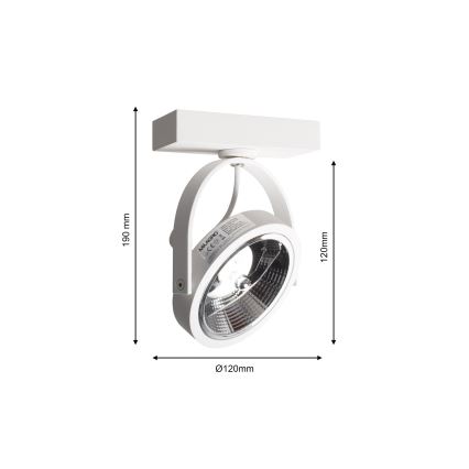 Wand-Spotlight LUGAR 1xAR111 - GU10/25W/230V