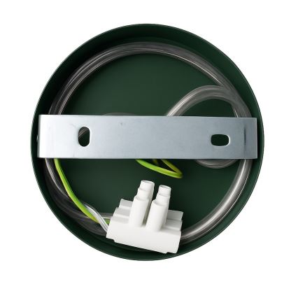 Wandleuchte CAPITAL 1xGX53/15W/230V grün