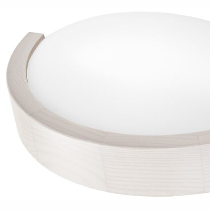 Wandleuchte NATURAL SLIM 1xE27/60W/230V Kiefer/weiß