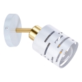 Wandspot ELEN 1xE27/35W/230V weiß/gold