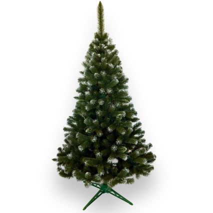 Weihnachtsbaum 220 cm, Tanne