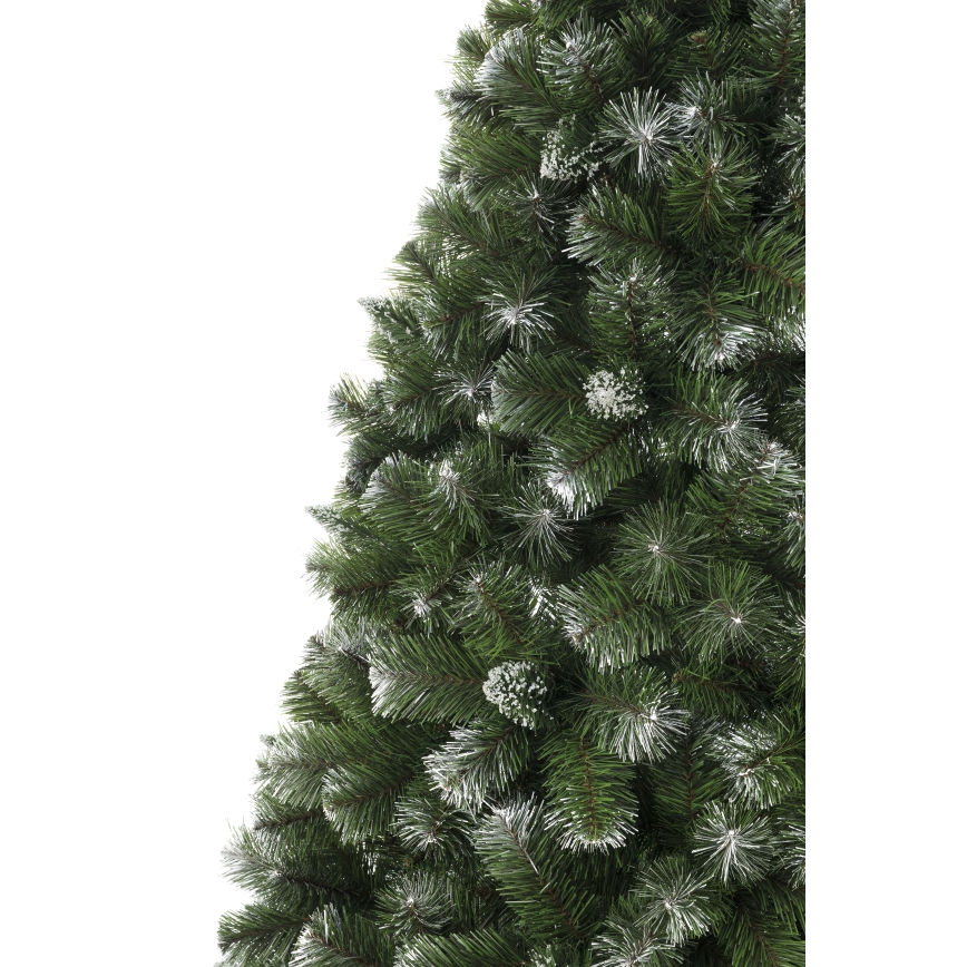 Weihnachtsbaum 250 cm – Kiefer