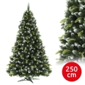 Weihnachtsbaum 250 cm, Kiefer