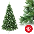 Weihnachtsbaum 250 cm Tanne