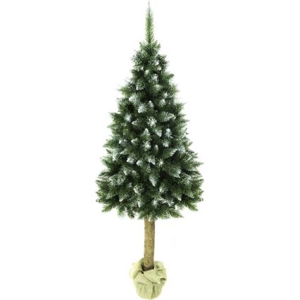 Weihnachtsbaum auf einem Baumstamm 180 cm Tanne