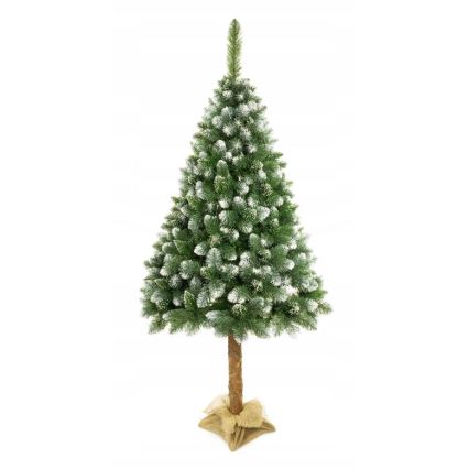Weihnachtsbaum auf einem Stamm 220 cm Kiefer
