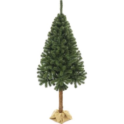 Weihnachtsbaum auf Stamm 160 cm Tanne