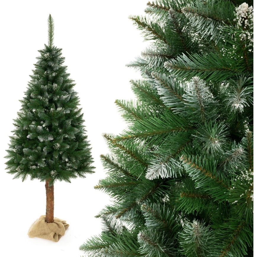 Weihnachtsbaum auf Stamm 180 cm Fichte