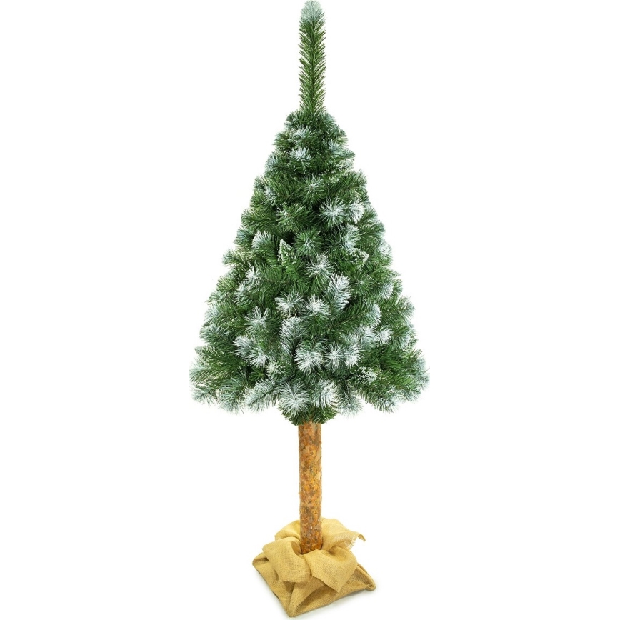 Weihnachtsbaum auf Stamm 180 cm Kiefer
