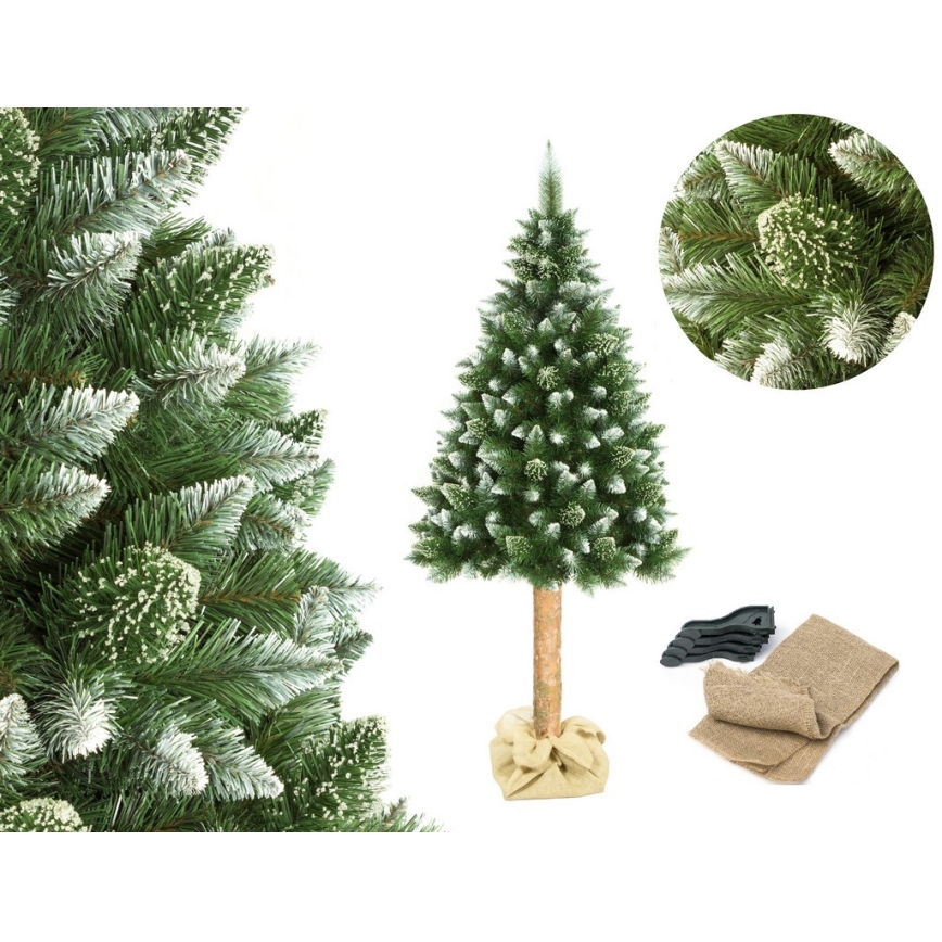 Weihnachtsbaum auf Stamm 180 cm Kiefer