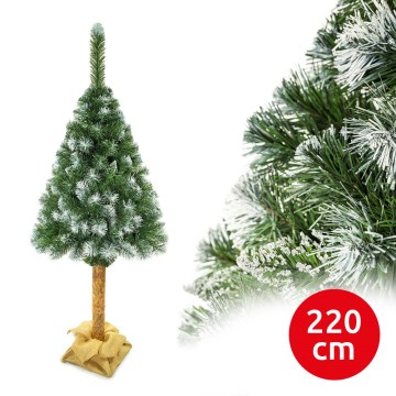 Weihnachtsbaum auf Stamm 220 cm Kiefer