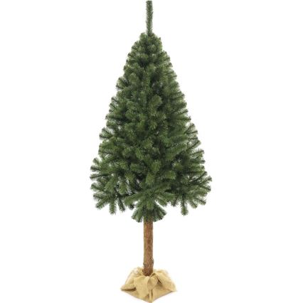 Weihnachtsbaum auf Stamm 220 cm Tanne