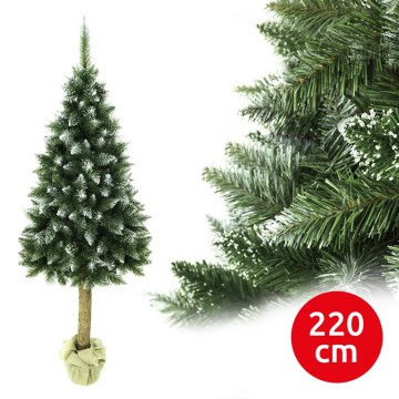 Weihnachtsbaum auf Stamm 220 cm Tanne