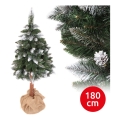 Weihnachtsbaum PIN 180 cm Kiefer