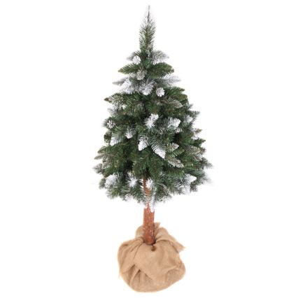 Weihnachtsbaum PIN 180 cm Kiefer
