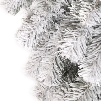 Weihnachtsbaum PIN 180 cm Tanne