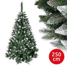 Weihnachtsbaum TEM I 250 cm Kiefer