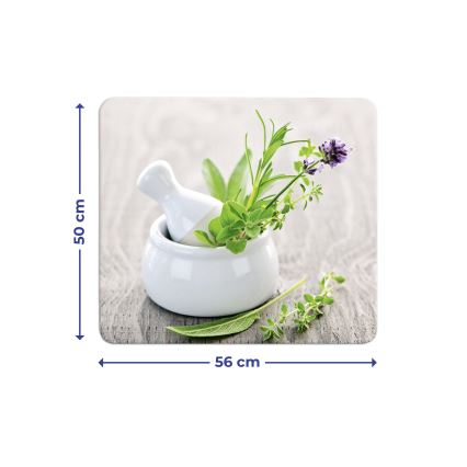 WENKO 2712940500 - Abdeckplatte für Lebensmittel, 56x50 cm, mehrfarbig/transparent