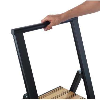 WENKO 50482100 - ALU-DESIGN Trittleiter 44x101 cm schwarz