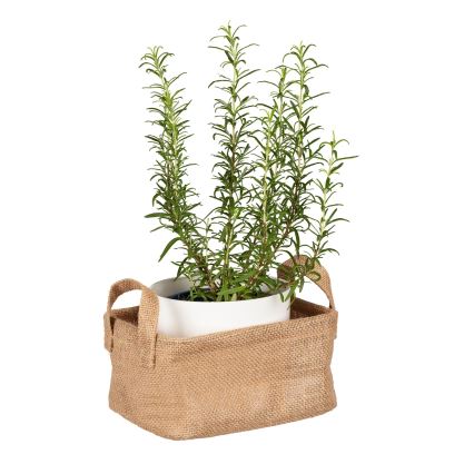 WENKO 64470100 - Korb JUNA 20x15 cm braun