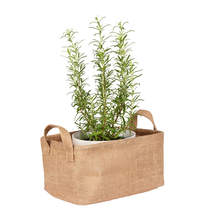 WENKO 64471100 - Korb JUNA 24x17 cm braun