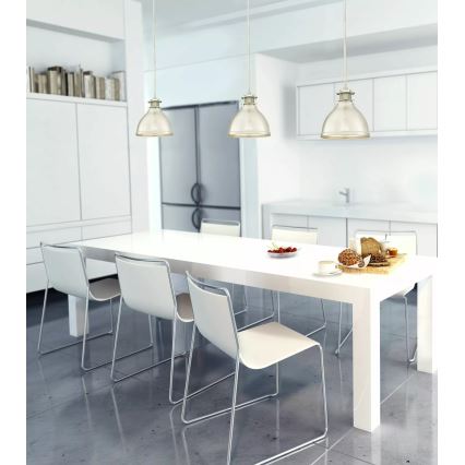 Westinghouse 6326940  - Deckenleuchte MORRISON, mit Stange, 1xE27/60W/230V