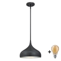 Westinghouse 6329440 - LED-Deckenleuchte mit Stange RUDI 1xE27/60W/230V Ø 30 cm