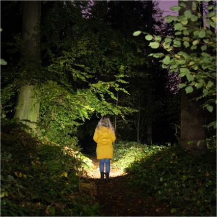 Wiederaufladbare LED-Taschenlampe 2xLED/3W/5V 210 lm 1200 mAh schwarz